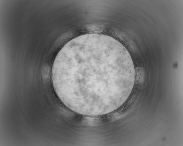 X0000116280713201001111035