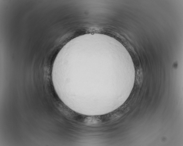 X0000116280714201001111035