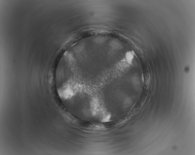 X0000116280715201001111035