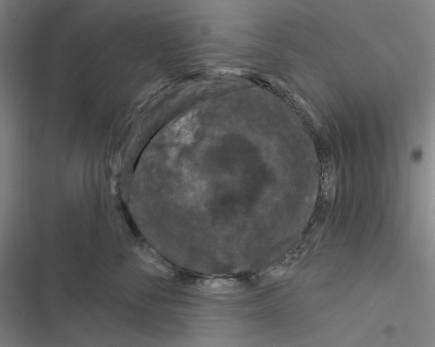 X0000116280716201001111035