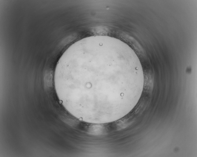 X0000116280717201001111035