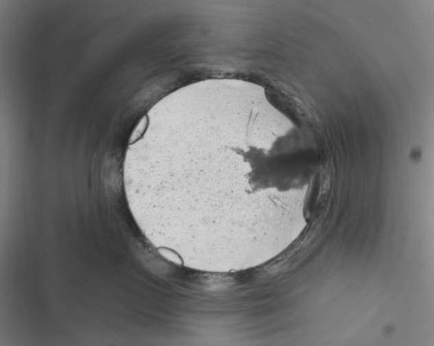 X0000116280719201001111035