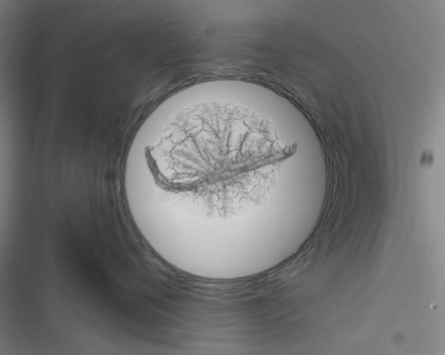 X0000116280720201001111035