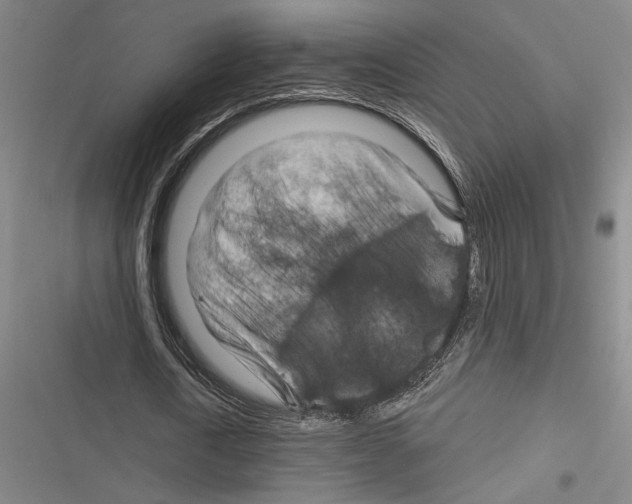 X0000116280722201001111034