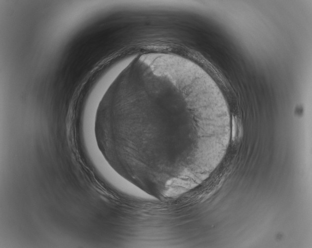 X0000116280723201001111034