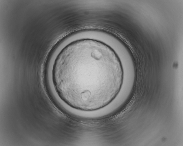 X0000116280725201001111035