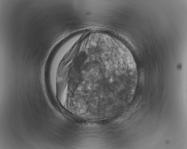 X0000116280730201001111035