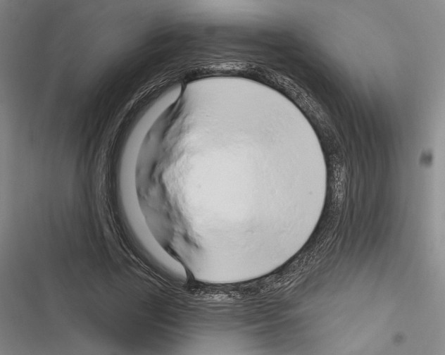 X0000116280731201001111035