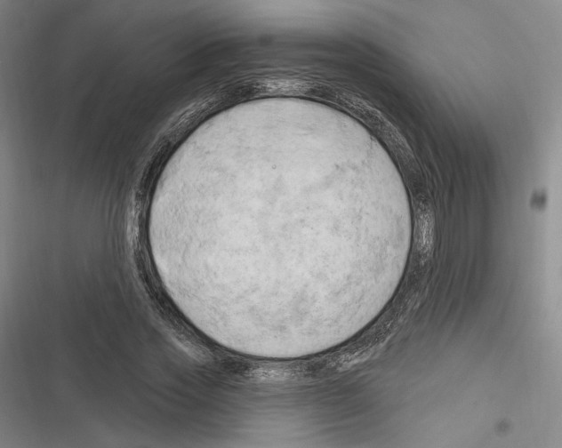 X0000116280733201001111035