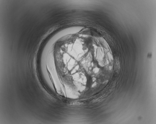 X0000116280734201001111035