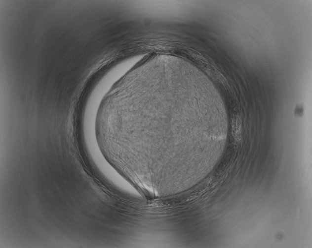 X0000116280735201001111035