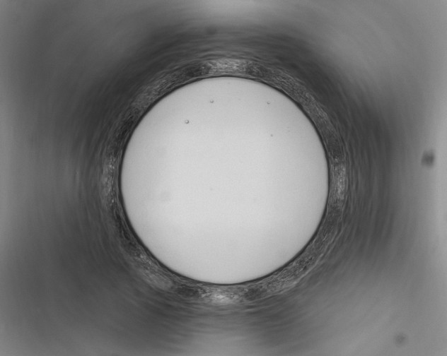X0000116280737201001111035