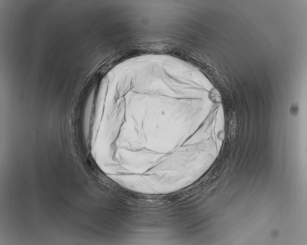 X0000116280739201001111035