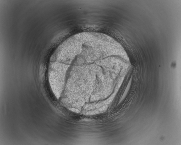 X0000116280742201001111035