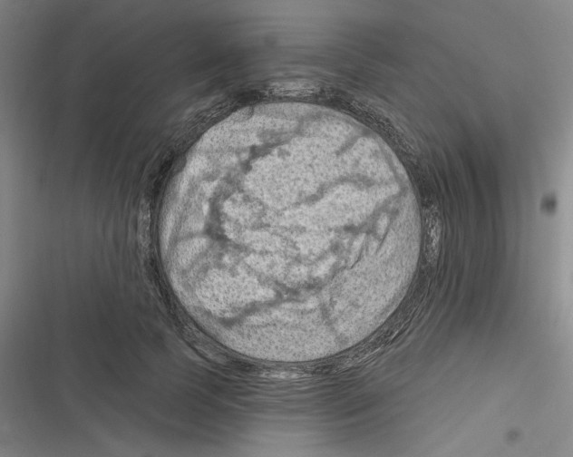 X0000116280745201001111035