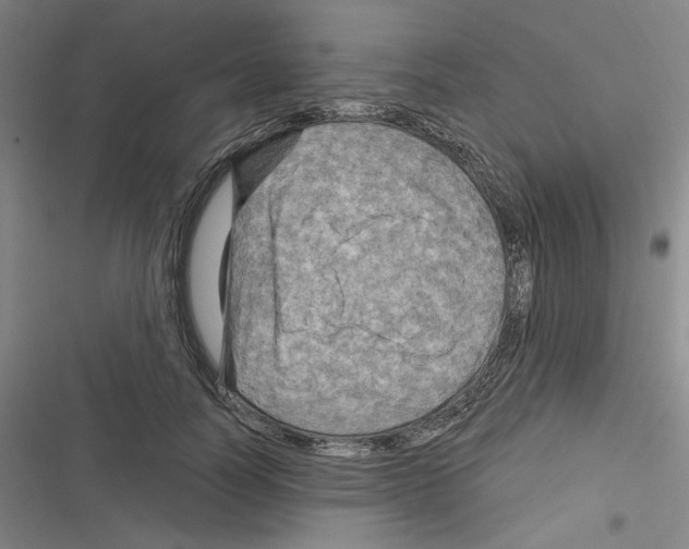 X0000116280746201001111035