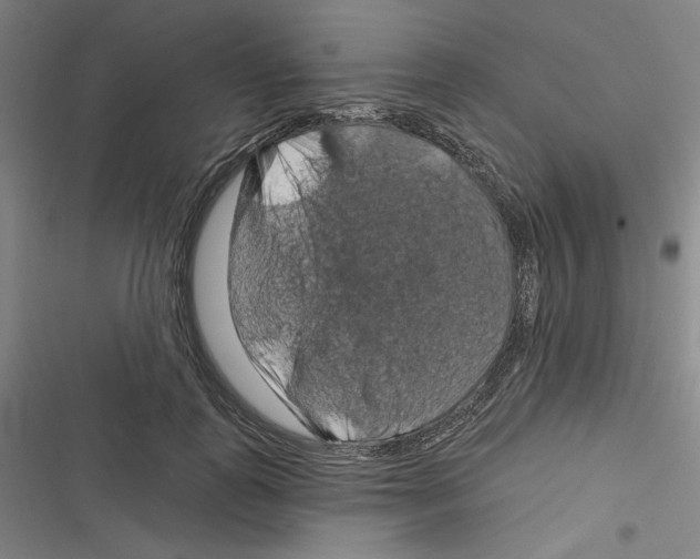X0000116280747201001111035