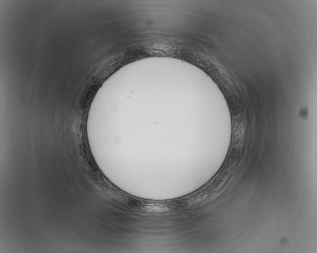 X0000116280749201001111035