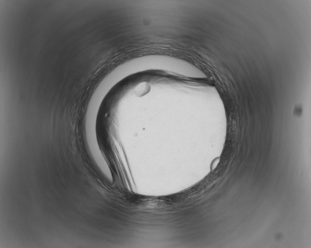 X0000116280750201001111035