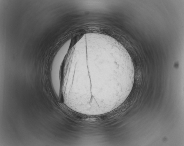 X0000116280751201001111035