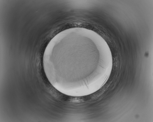 X0000116280754201001111035