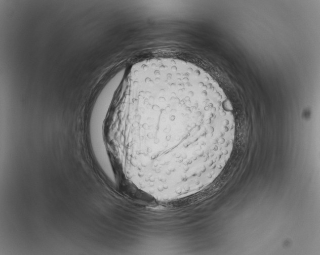 X0000116280755201001111035