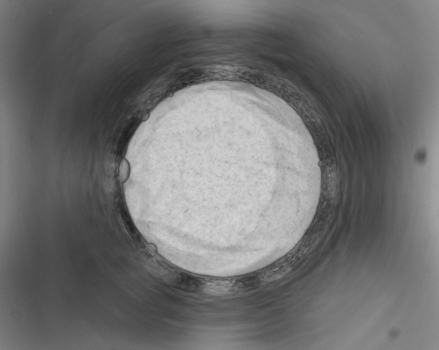 X0000116280757201001111035