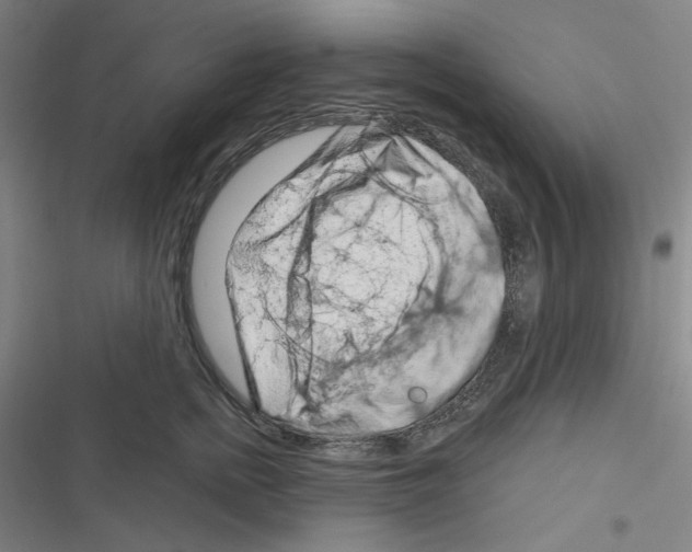 X0000116280758201001111035