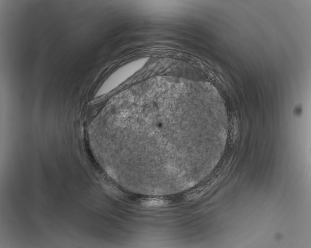 X0000116280759201001111035