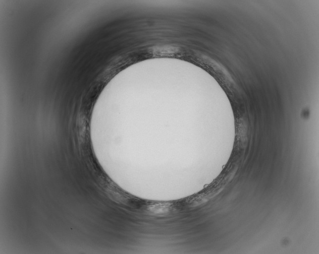 X0000116280761201001111035