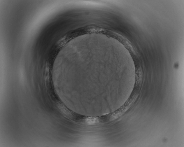 X0000116280762201001111035