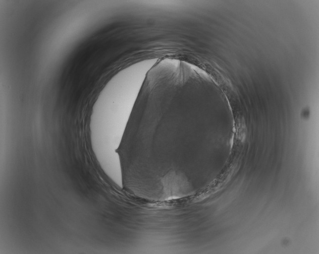 X0000116280763201001111035