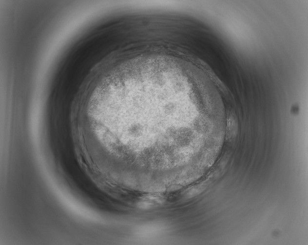 X0000116280765201001111035