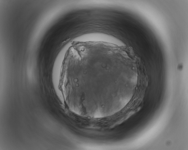 X0000116280766201001111035