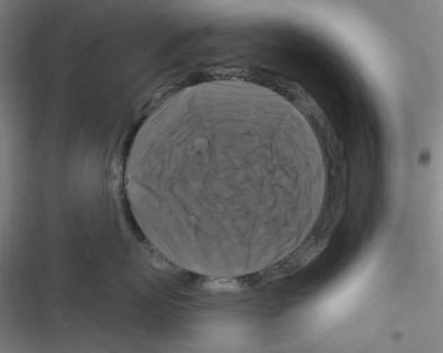 X0000116280767201001111035