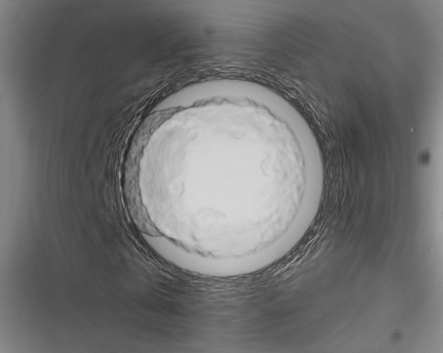 X0000116280769201001111034