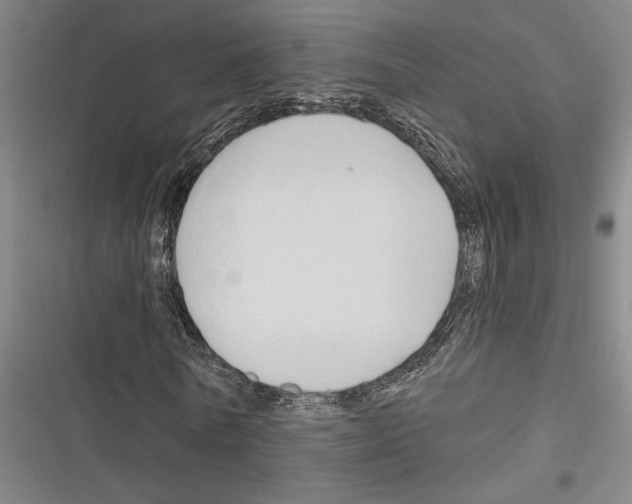 X0000116280770201001111034