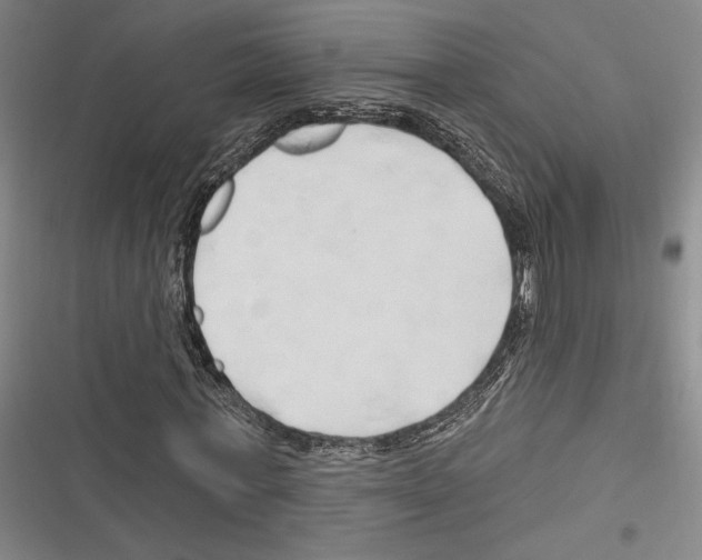 X0000116280771201001111034