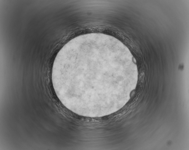 X0000116280772201001111034