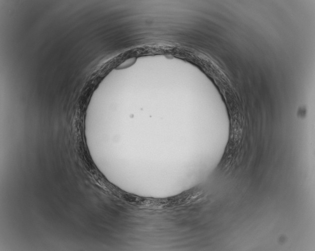 X0000116280773201001111034