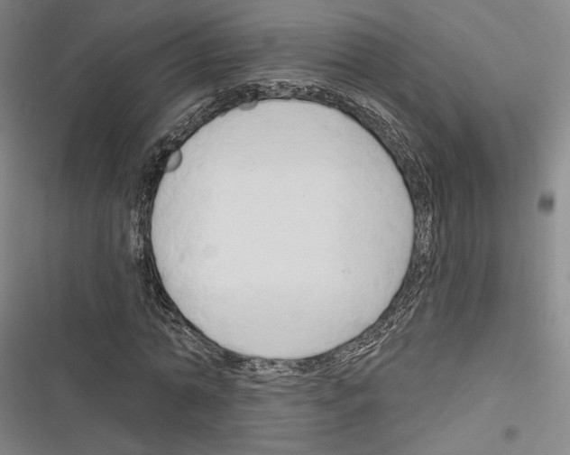 X0000116280774201001111034