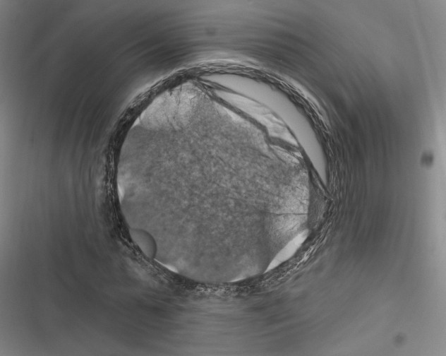 X0000116280775201001111034