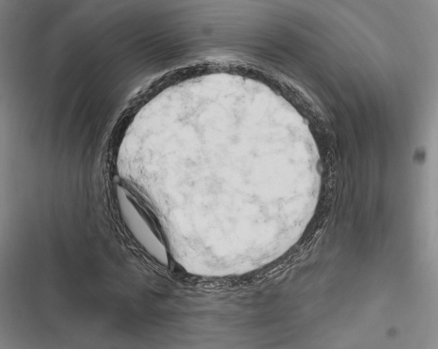 X0000116280776201001111034