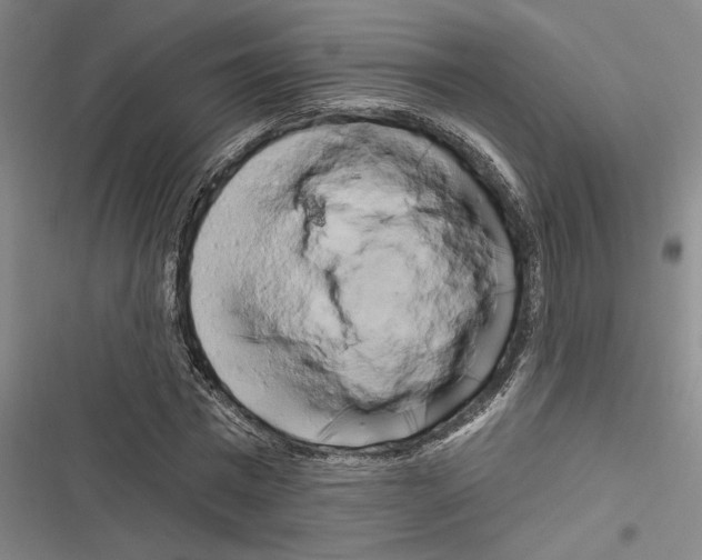 X0000116280777201001111034
