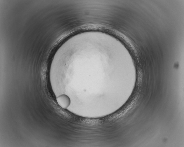 X0000116280778201001111034