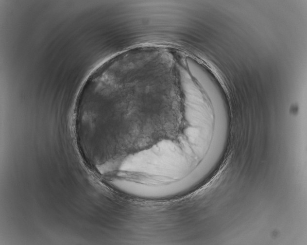 X0000116280779201001111034