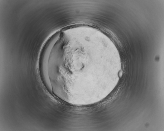 X0000116280780201001111034
