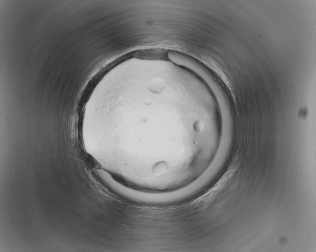 X0000116280781201001111034