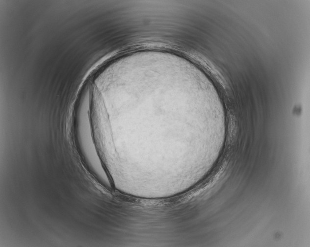 X0000116280782201001111034