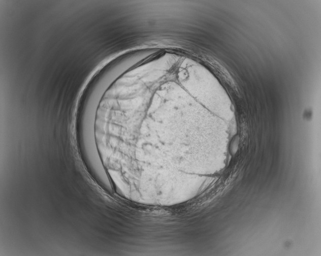 X0000116280784201001111034